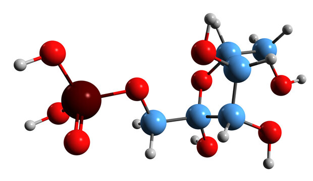  3D image of Fructose 1-phosphate skeletal formula - molecular chemical structure of  fructose derivative isolated on white background
