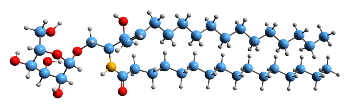  3D image of Galactocerebroside skeletal formula - molecular chemical structure of glycosphingolipid isolated on white background
