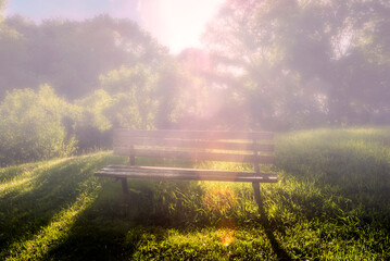 Bench in a field of grass in a park illuminated by setting sun