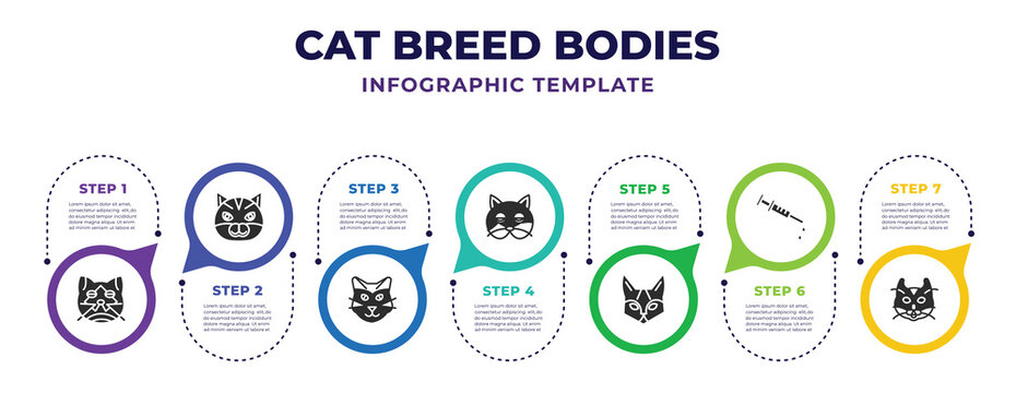 Cat Breed Bodies Infographic Design Template With Himalayan Cat, Burmilla Cat, Somali Shorthair Siberian Injection, American Curl Icons. Can Be Used For Web, Banner, Info Graph.