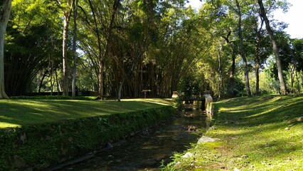 footpath in the park