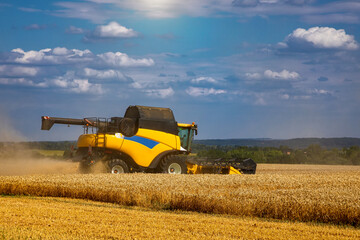 Fototapeta premium Combine harvester harvesting ripe wheat. Harvesting in Ukraine during the war and the world crisis for grain.