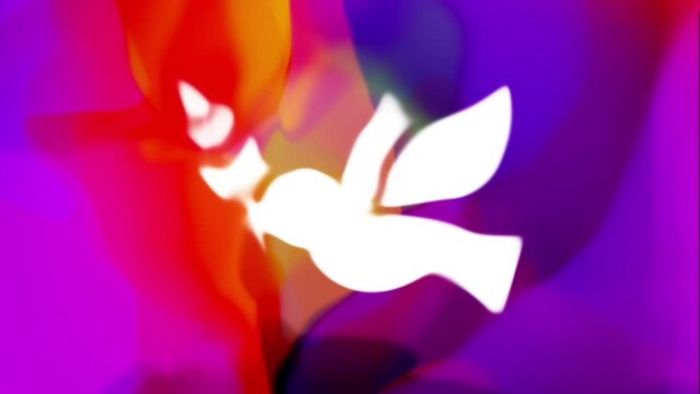 Dove - The Symbol of Peace