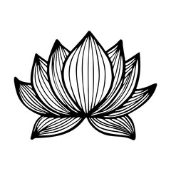 Lotus flower in black and white doodle style as icon for tattoo