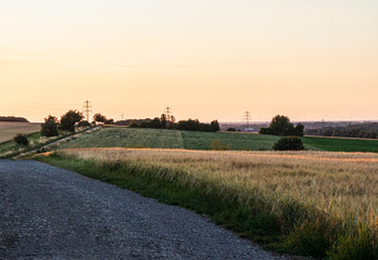 Fototapeta premium Grain field in the sunset near the city of Düren