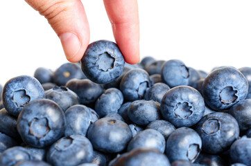 Pinch holding a ripe blueberry