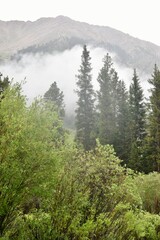 Fog rises over the mountain peaks after a heavy rainstorm