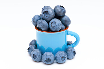 Fresh blueberries in a small enamel mug isolated