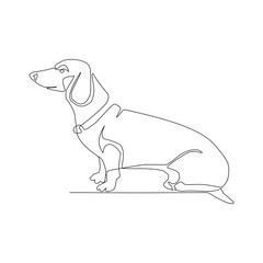 Dachshund vector illustration drawn in line art style