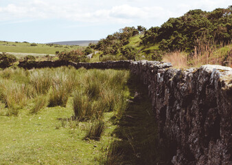 Steinmauer im Dartmoor