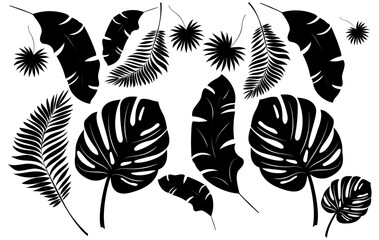 Fototapeta na wymiar Set black and white Tropical Silhouettes leaves. Collection black leaves palm, fan palm, banana leaves. Vector illustration.
