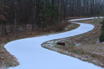 snow road in forest