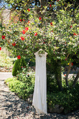 Obraz premium Wedding dress hanging on a tree with flowers