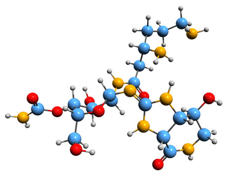  3D image of Nourseothricin skeletal formula - molecular chemical structure of aminoglycoside antibiotic isolated on white background

