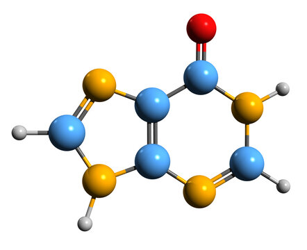  3D image of Hypoxanthine skeletal formula - molecular chemical structure of purine derivative isolated on white background
