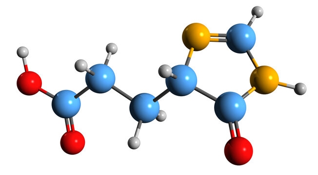  3D image of Imidazol-4-one-5-propionic acid skeletal formula - molecular chemical structure of histidine metabolism intermediate isolated on white background
