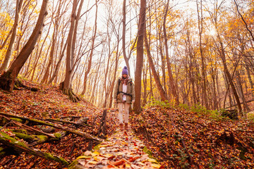 Woman hiking and mountaineering in forest on an autumn day