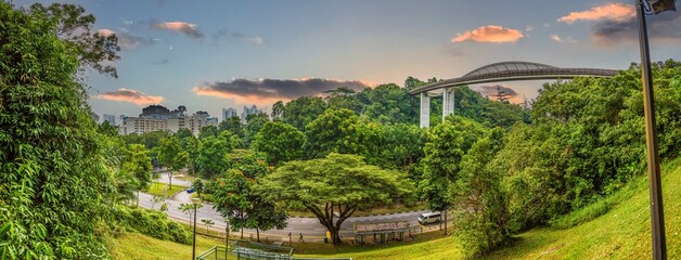 Picture of Henderson Wave bridge in Singapore at sunset