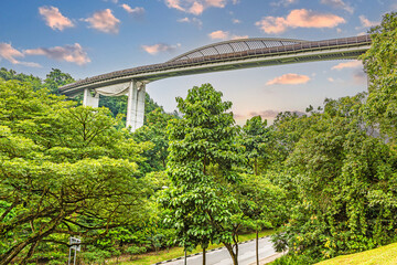 Picture of Henderson Wave bridge in Singapore at sunset