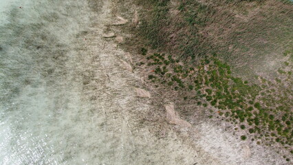 flat water and reeds form a beautiful pattern in a lake