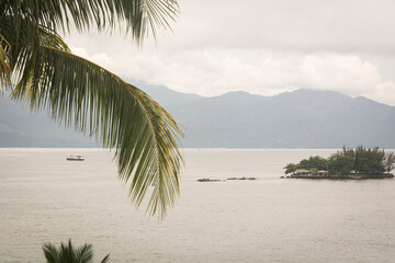 View of the sea with a palm tree leave at Angra dos Reis town, State of Rio de Janeiro, Brazil....
