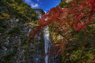 Mino Waterfall in Autumn	