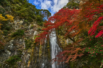 Mino Waterfall in Autumn	