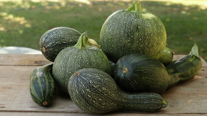 vari tipi di zucchine sul tavolo di legno, zucchine tonde., lunghe e rigate