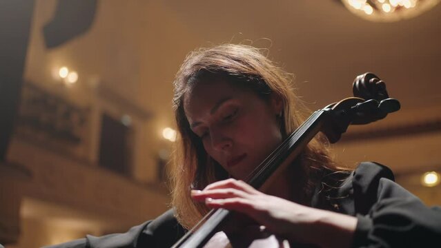 Cellistin Bilder Durchsuchen 12,692 Archivfotos, und