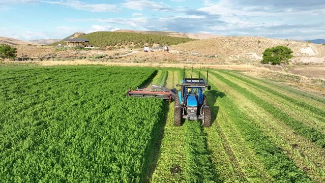 Aerial farm green alfalfa hay cutting tractor part 1 pull. Rural farming community agricultural economy. Summer harvesting of alfalfa hay agriculture. Tractor equipment, green field. Mountain Valley.