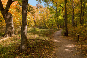 Native American Mounds At High Cliff State Park, Sherwood, Wisconsin