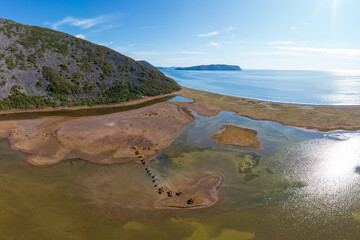 Aerial view of the sea coast. A herd of horses crosses a shallow salt lake. Beautiful landscape....