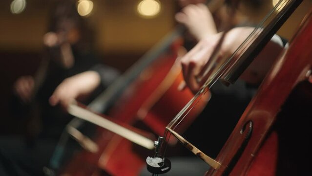 symphonic orchestra is performing classical music concert on scene of opera house, closeup view