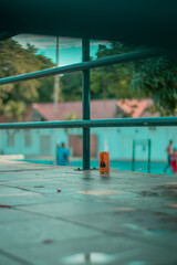 swimming pool at beer, beer, drunk