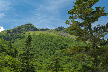 日光五色沼湖畔から日光白根山を見上げる