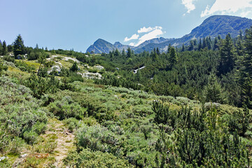 Fototapeta na wymiar Landscape of Pirin Mountain mountain near Begovitsa hut, Bulgaria
