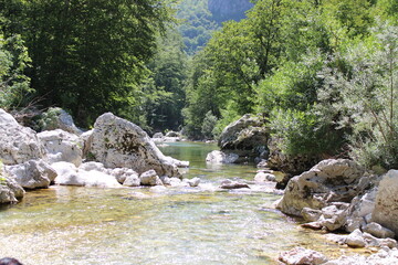 mountain river in the forest