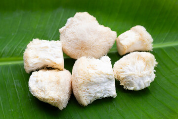 Rare Lion`s mane mushroom on banana leaf