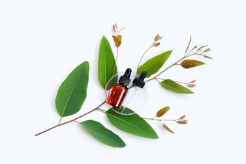 Eucalyptus essential oil bottle with leaves on white background.