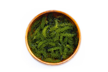 Sea grape seaweed on wihte background.
