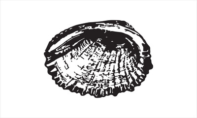 Simple oysters vector icon in black color