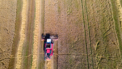 Aerial view combine harvester harvesting on the field. Harvesting wheat. Harvester machine working in field.