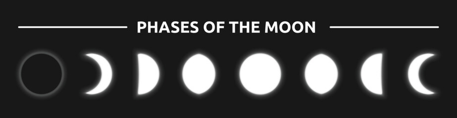 Phases of the moon vector illustration. Lunar cycles design background.