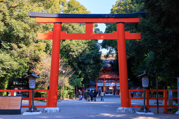 京都・下鴨神社