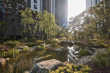 Fototapeta premium Urban Park Pond with Trees, Calm Nature Background