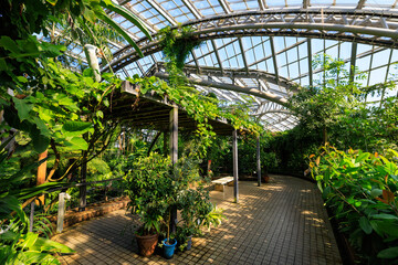 京都植物園