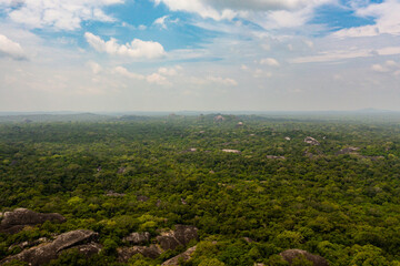 Fototapeta premium Aerial drone of green rainforest and jungle in Sri Lanka.