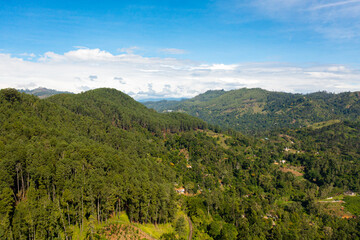 Obraz premium Aerial drone of Agricultural lands and tea estates among the hills in the mountains.. Ella, Sri Lanka.
