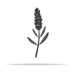Lavender flower icon transparent vector isolated