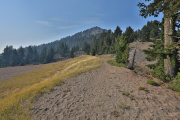 Fototapeta premium Beautiful PCT Trail in Oregon Section